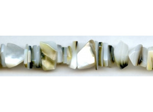 Black Mother of Pearl 18x Simple Cut