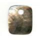 76x Shell Pendant 76x Shell Pendant