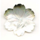 80x Flower Pendant 80x Flower Pendant