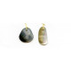 24x Shell Pendant 24x Shell Pendant