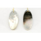 48x Shell Pendant 48x Shell Pendant