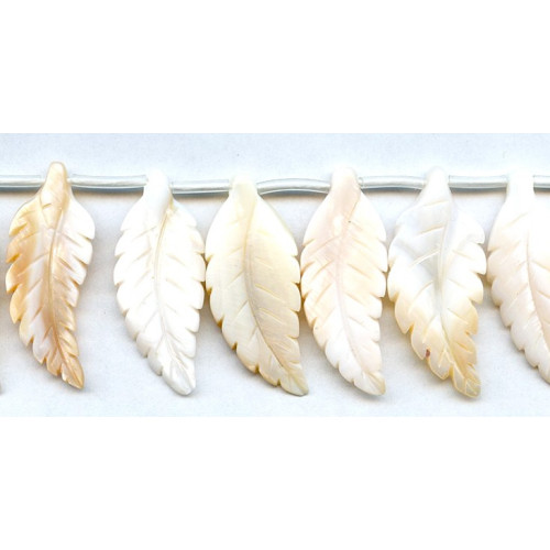 299-1095 Pink MOP <br>38-40x Leaf Drop