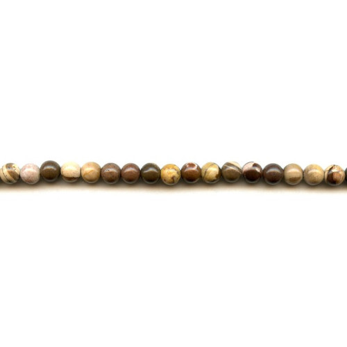 302-0006 Brown Zebra Jasper <br>6mm Round