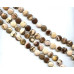 302-1020 Brown Zebra Jasper <br>16mm Dime
