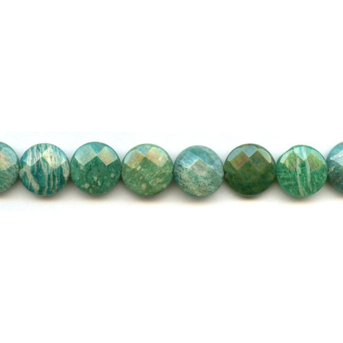 305-1037 Russian Amazonite <br>15mm Faceted Coin