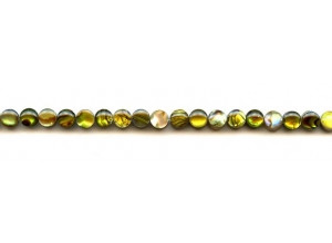 Dyed Abalone 5mm Dime