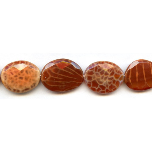 341-0047 Crab Fire Agate <br>20x26 Faceted Slab