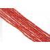 519-1189 Dyed Coral <br>5-5.5mm Round
