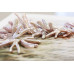 016-1066 Freshwater Pearl Drop <br>30x Twin Stick