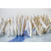 016-1096 Freshwater Pearl Drop <br>45-55x Stick