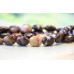 100-0542 Autumn Stone <br>8x10 Flat Oval