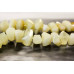 101-1876 Yellow Opal <br>18-25x Simple Cut