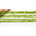 114-1163 Peridot <br>3x4 Strip-faceted Tube
