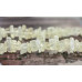 129-1099 Yellow Calcite <br>8x Chips