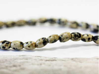 Dalmatian Jasper 4x6 Rice