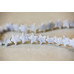 145-1280 Blue Lace Agate <br>12mm Star