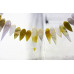 181-1231 Mother of Pearl <br>10-30mm Shell Drop
