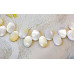 181-1270 Mother of Pearl <br>13x19 Flat Oval Drop