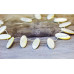 181-1350 Mother of Pearl <br>12x28 Flat Oval Drop