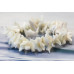 181-1663 Mother of Pearl <br>20x Bracelet