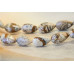 187-1032 Picture Jasper <br>10x18 Puffy Flat Pear