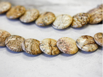 Picture Jasper 20mm Lentil