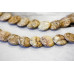 187-1117 Picture Jasper <br>20mm Lentil