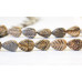 187-1181 Picture Jasper <br>15x20 Leaf
