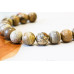 187-1213 Picture Jasper <br>20mm Round