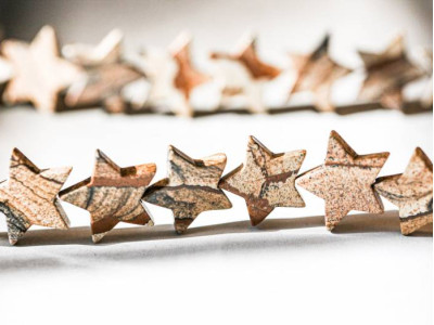 Picture Jasper 20mm Star