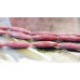 194-1037 Rhodonite <br>8x35 Faceted Oval Rice