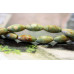 195-1123 Rhyolite <br>5x12 Rice