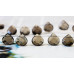 203-1845 Smoky Quartz <br>13x13 Flat Pear Briolette