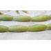 264-1032 Olive Jade <br>12x36 4-sided Oval Rice