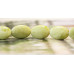 277-1041 Lemon Jade <br>18x25 Flat Oval