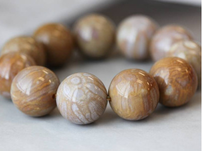 Fossil Coral 22mm Round Bracelet