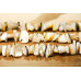 298-1119 Black Mother of Pearl <br>18x Simple Cut
