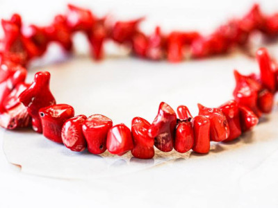 Dyed Coral 10-12x Chips