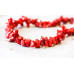 519-1339 Dyed Coral <br>10-12x Chips