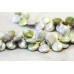 L0705-041B Freshwater Pearl Drop <br>14-16x Coin Drop
