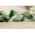 L1239-026 Chrysoprase <br>10-24x Beveled Fancy Cloud