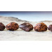 L2230-021 Spider Jasper <br>16-20x Faceted Flat Nugget