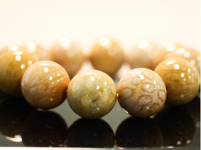 Fossil Coral 22mm Round Bracelet