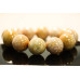 L3950-022 Fossil Coral <br>22mm Round Bracelet